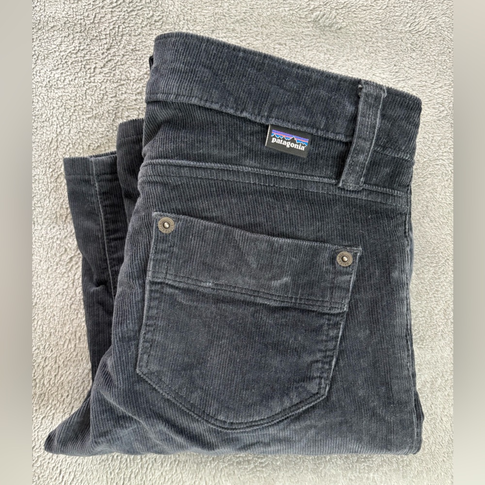 Patagonia Blue Corduroy Pants